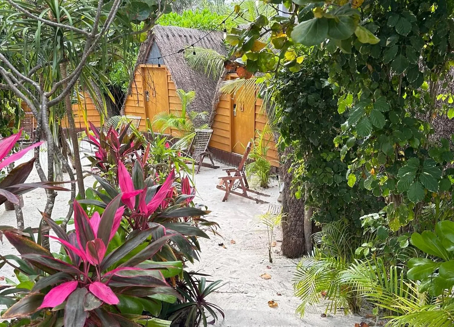 Mia Tulum Resort Mexico